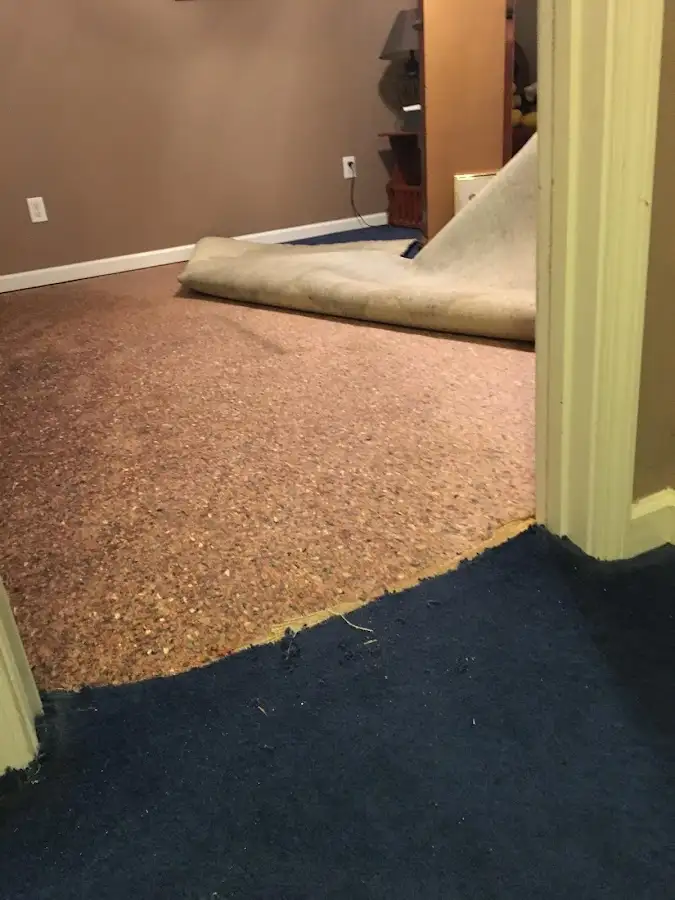 Carpet pad removal revealing water damage during Drying & Dehumidification in Orland