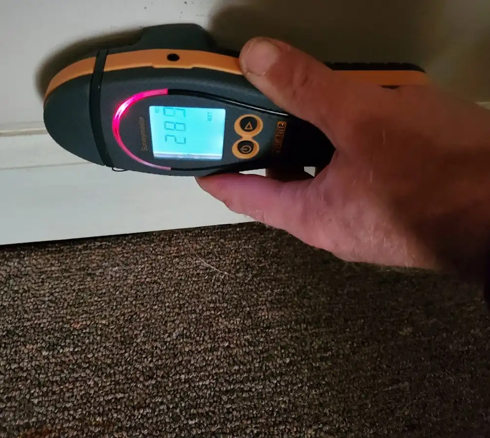 Moisture detection at baseboard during Burst Pipe Cleanup in Orland